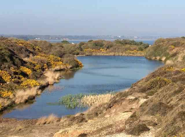 A pretty little lake at Hengistbury Head, nr Bournemouth.